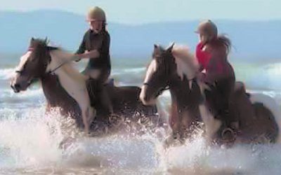 Donegal Equestrian Centre