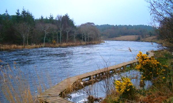 River Drowes