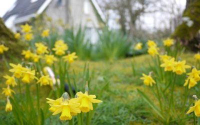 Easter Breaks In Donegal