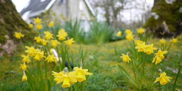 Easter Breaks in Donegal