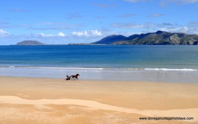 Trotter on Portsalon Beach