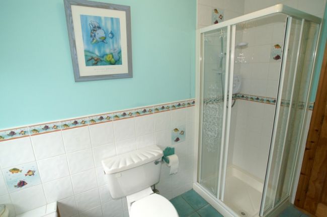 Bathroom has separate shower