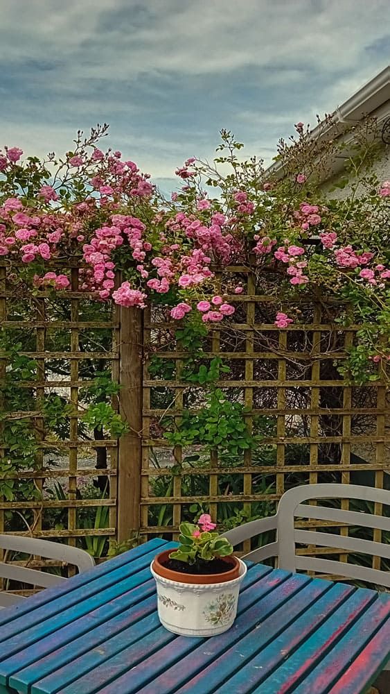 Rose Cottage - Glenties
